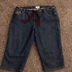 Venezia Women’s Capri Jeans Embroidered Plus Sz 20